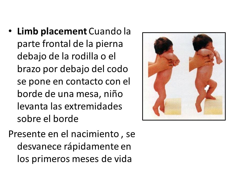 Que curáis el hongo en el acuario